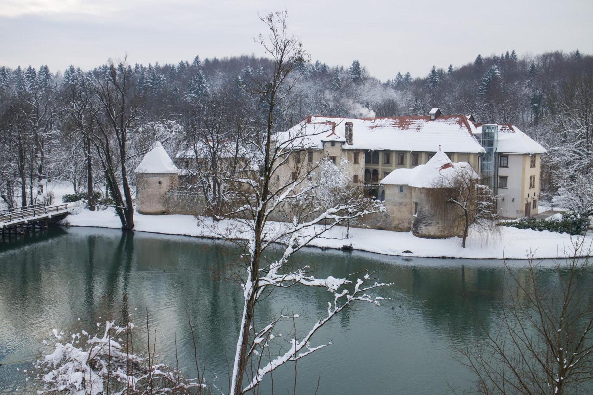 Hotel Grad Otocec - Relais Chateaux 部屋 写真